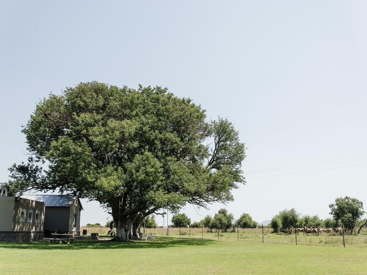 Buffalo Thorn Tree Lodge Swartruggens Zewnętrze zdjęcie